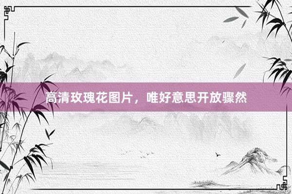 高清玫瑰花图片，唯好意思开放骤然