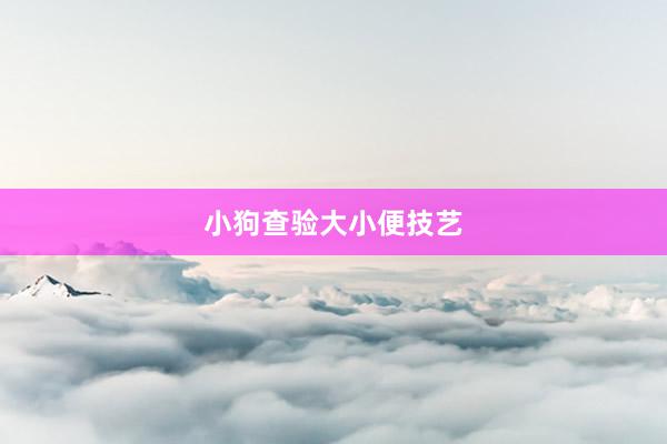 小狗查验大小便技艺