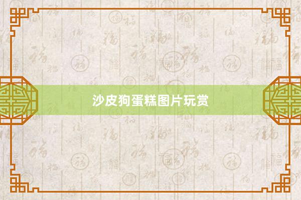 沙皮狗蛋糕图片玩赏