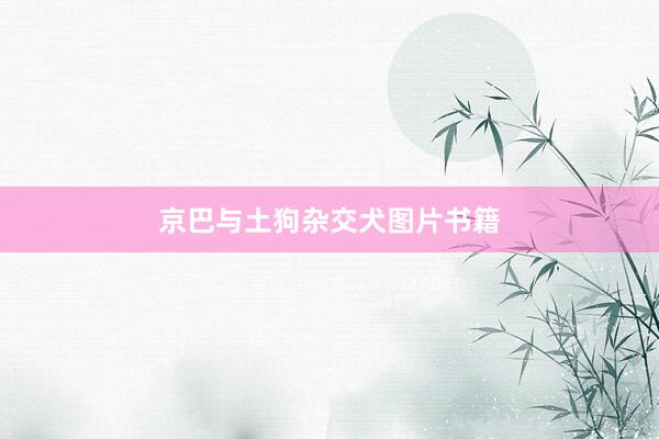 京巴与土狗杂交犬图片书籍