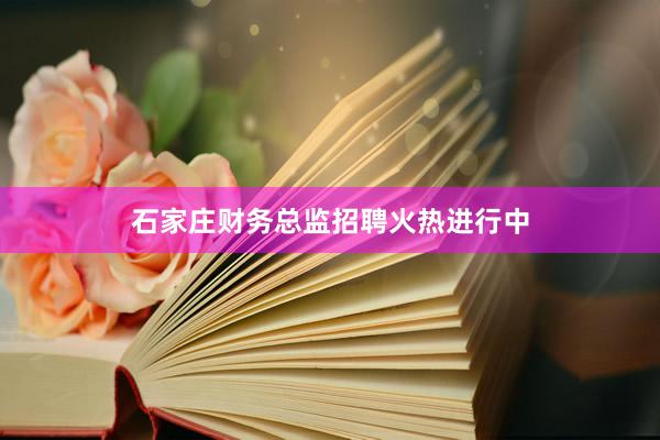 石家庄财务总监招聘火热进行中